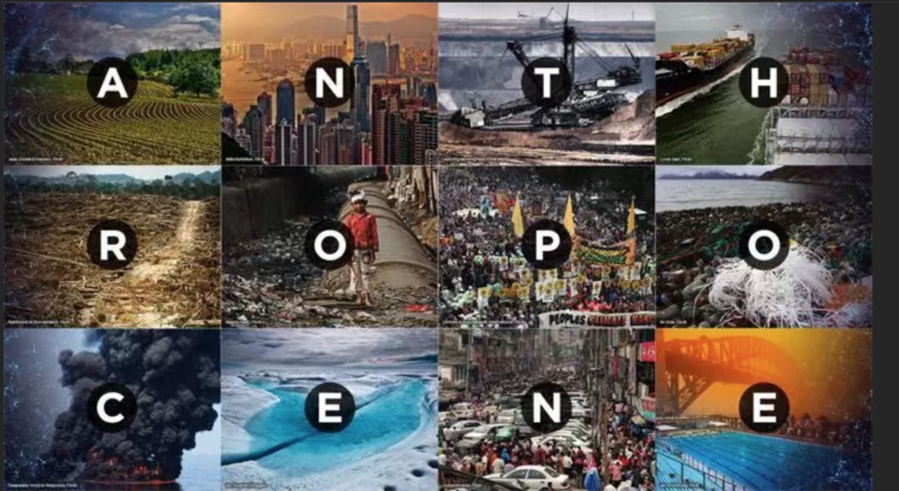 anthropocene Zack Walsh.png