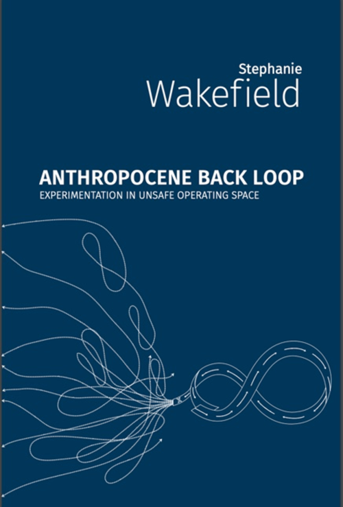 Don’t Worry, Be Scrappy: On Stephanie Wakefield’s "Anthropocene Back Loop"